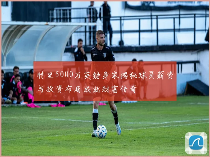 特里5000万英镑身家揭秘球员薪资与投资布局成就财富传奇